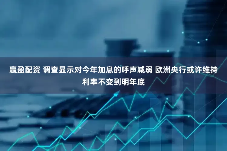 赢盈配资 调查显示对今年加息的呼声减弱 欧洲央行或许维持利率不变到明年底